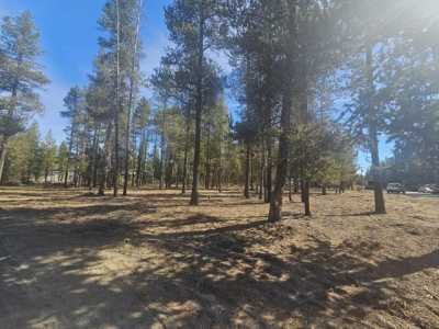 Residential Land For Sale in La Pine, Oregon