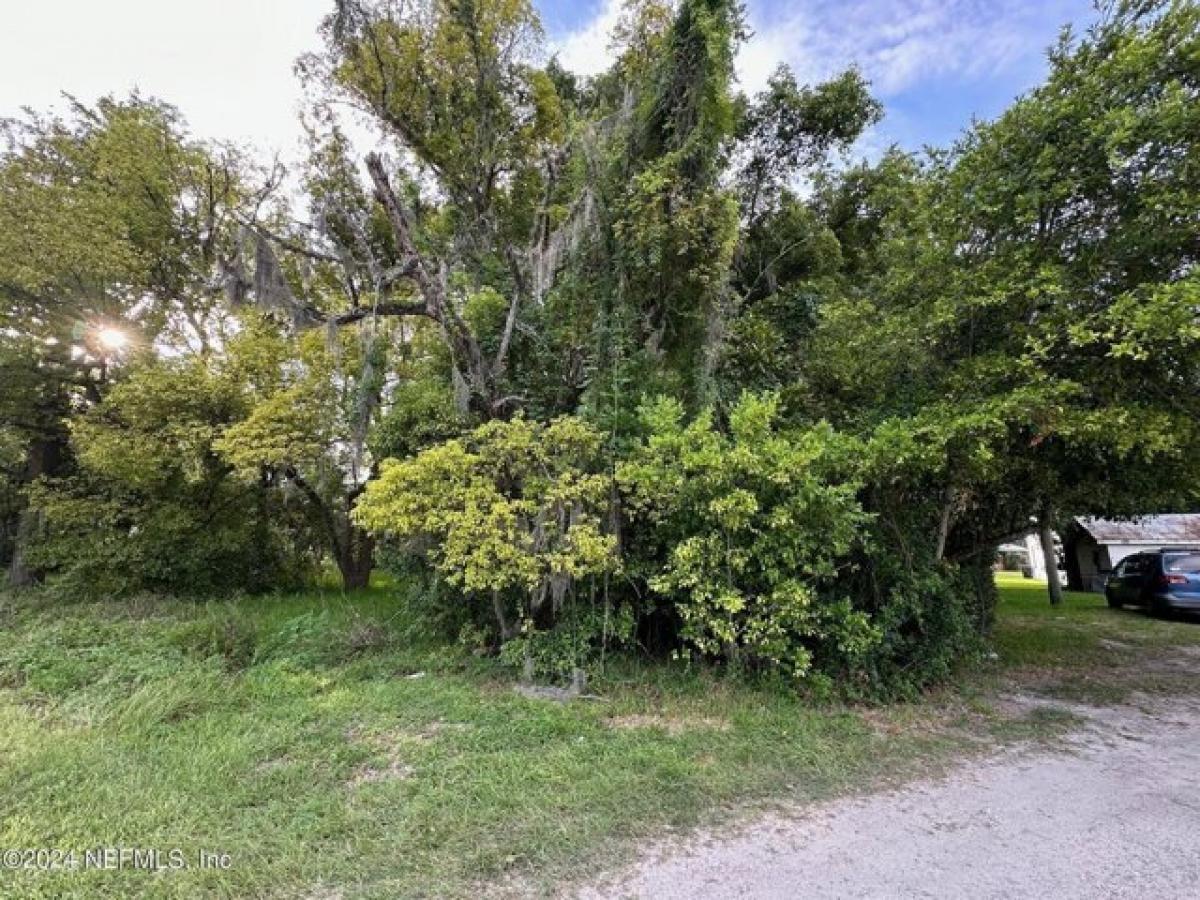 Picture of Residential Land For Sale in Starke, Florida, United States