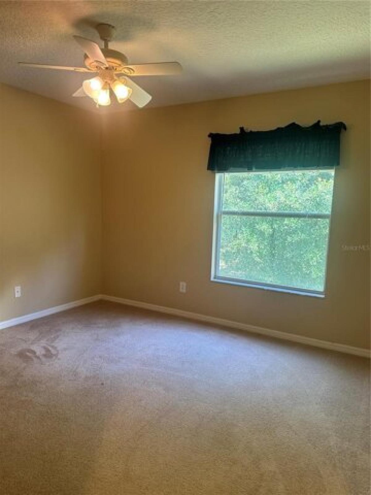 Picture of Home For Rent in Sorrento, Florida, United States