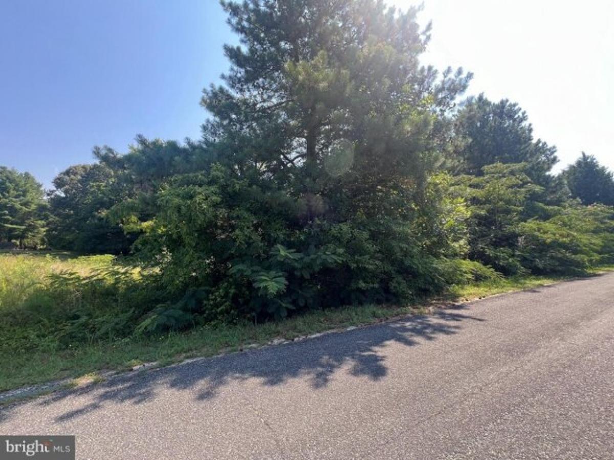 Picture of Residential Land For Sale in Warsaw, Virginia, United States