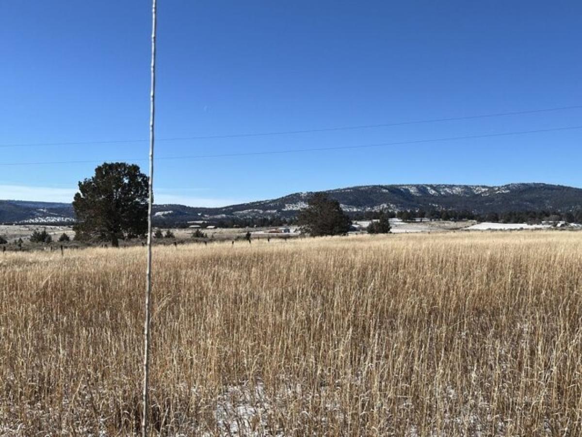 Picture of Residential Land For Sale in Lakeview, Oregon, United States