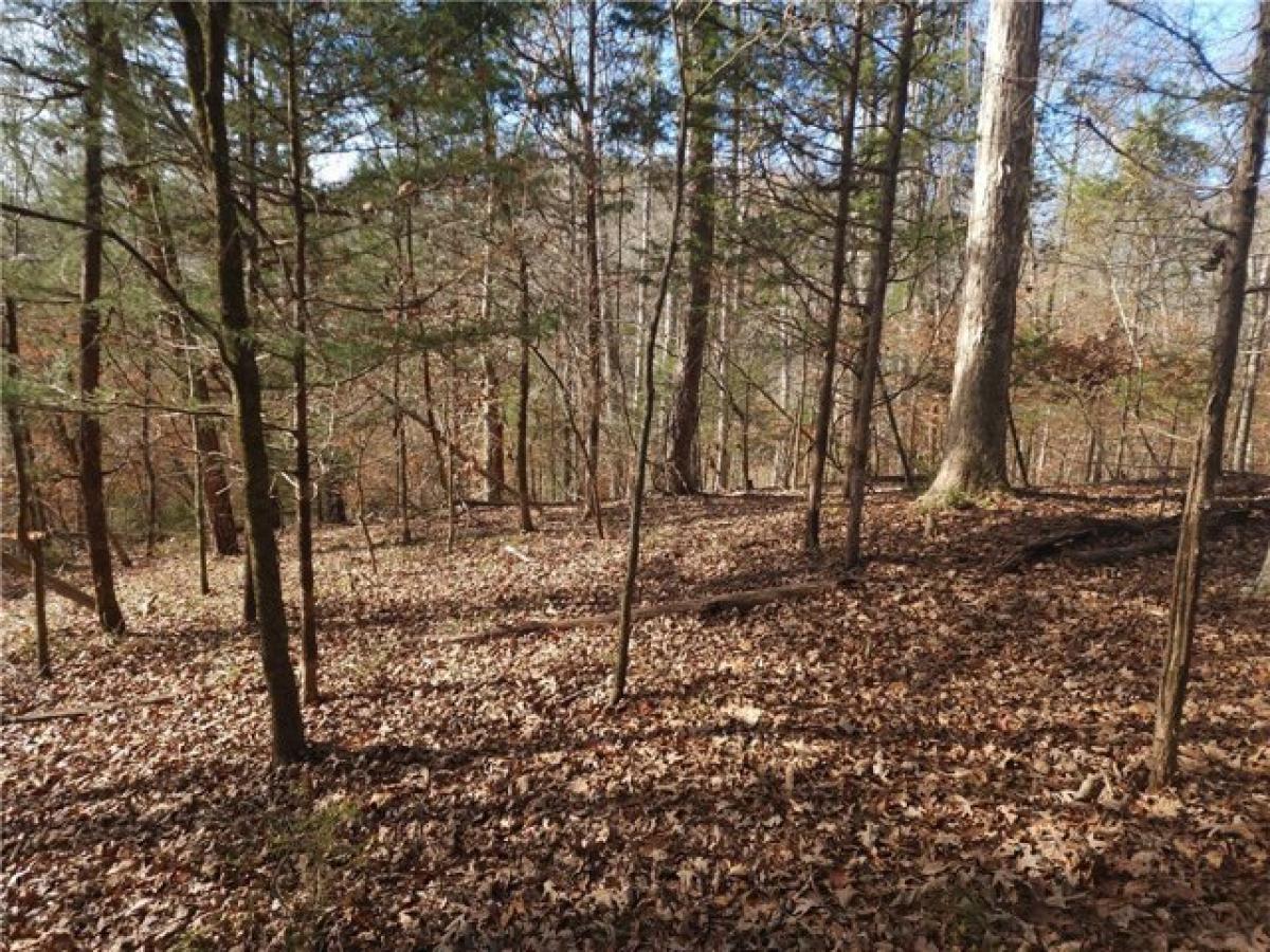 Picture of Residential Land For Sale in Laurens, South Carolina, United States