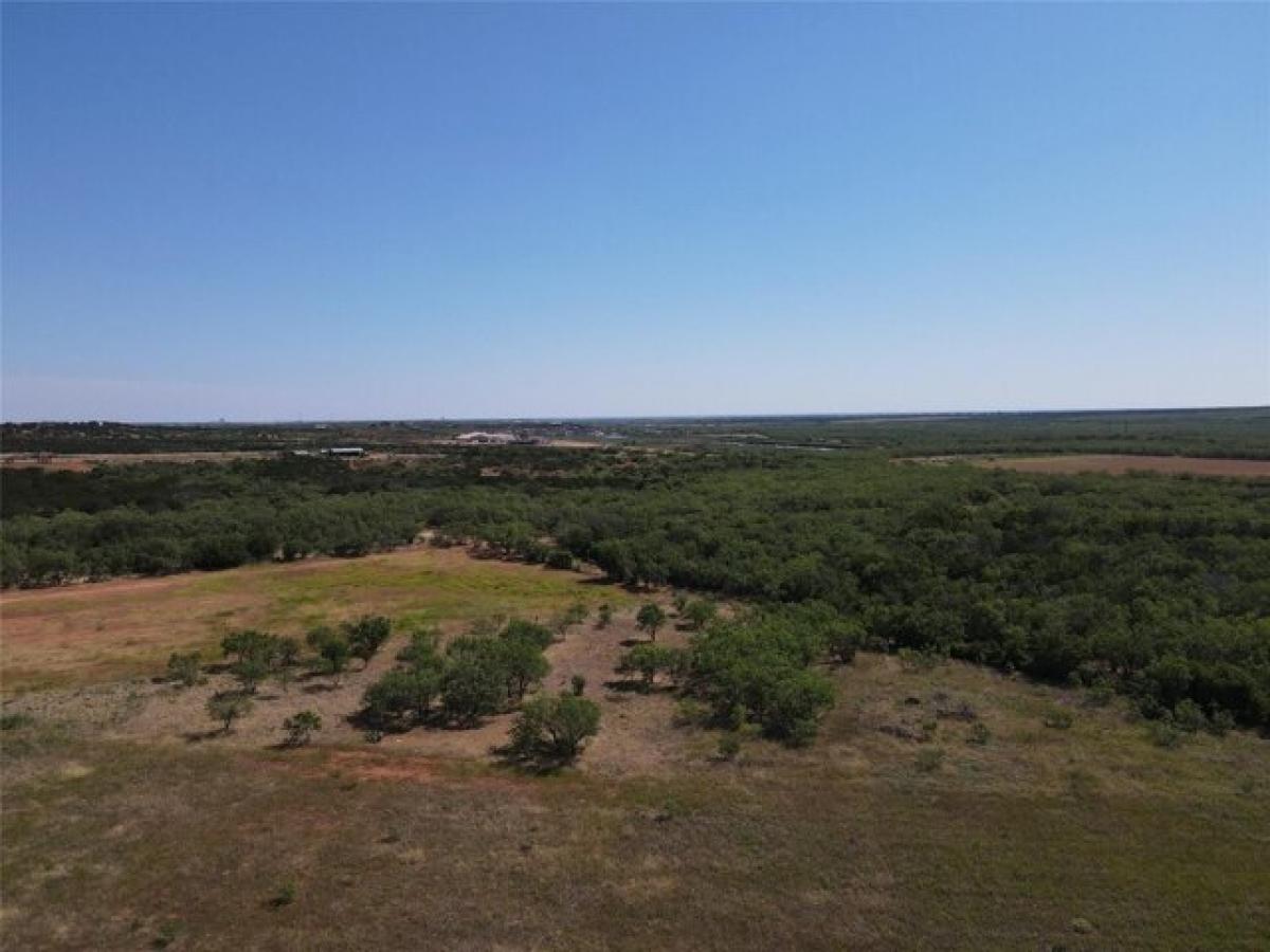 Picture of Residential Land For Sale in Tuscola, Texas, United States