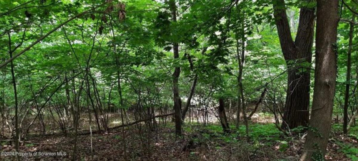 Picture of Residential Land For Sale in Scranton, Pennsylvania, United States