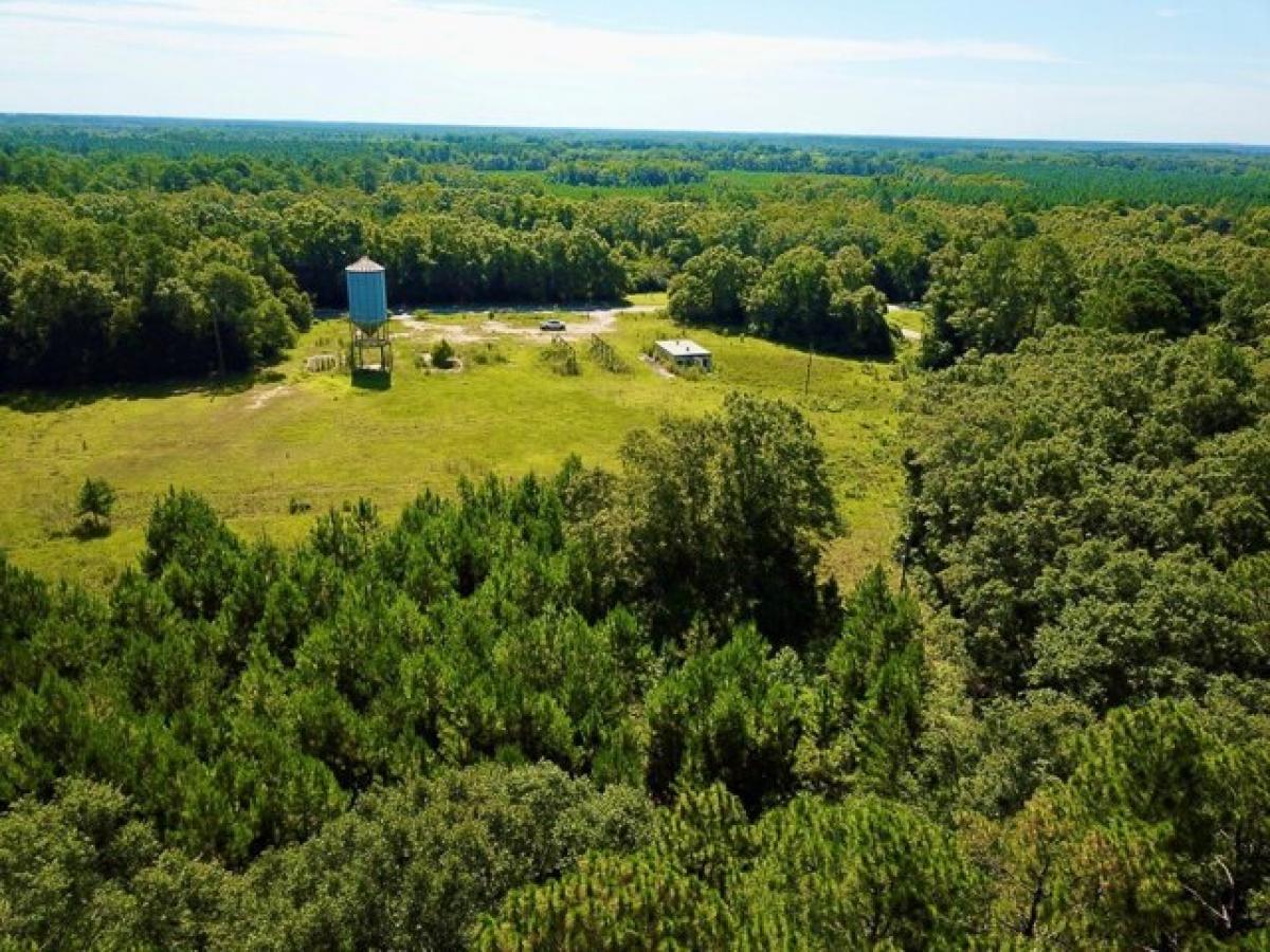 Picture of Residential Land For Sale in Slocomb, Alabama, United States