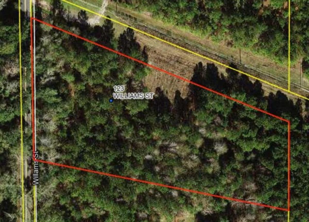 Picture of Residential Land For Sale in Gretna, Florida, United States