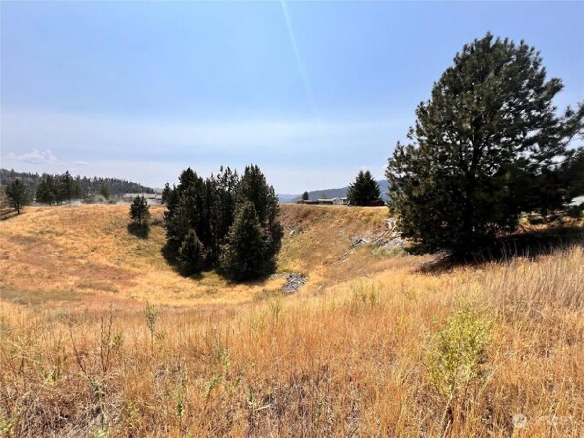 Picture of Residential Land For Sale in Republic, Washington, United States