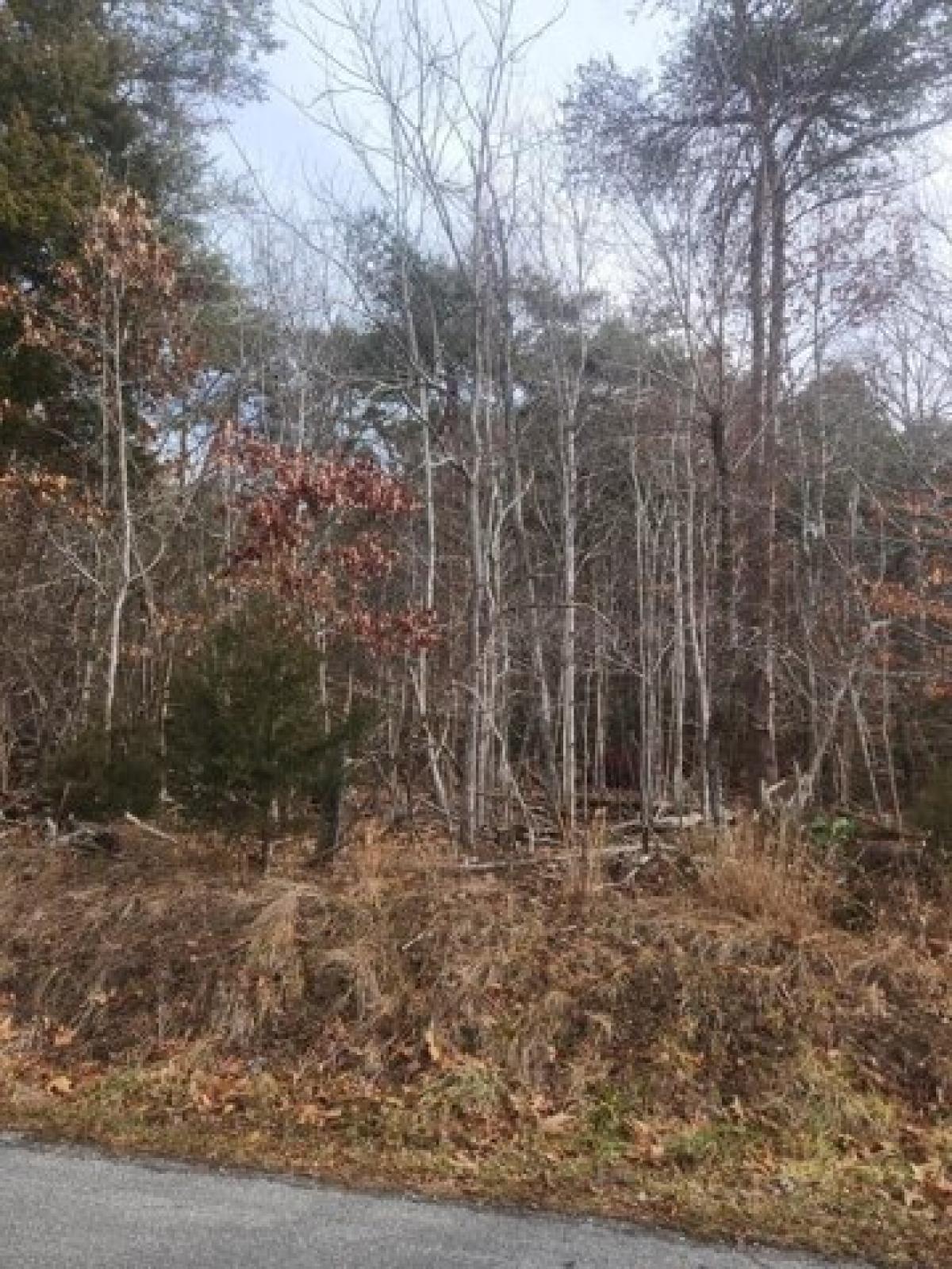 Picture of Residential Land For Sale in Radford, Virginia, United States