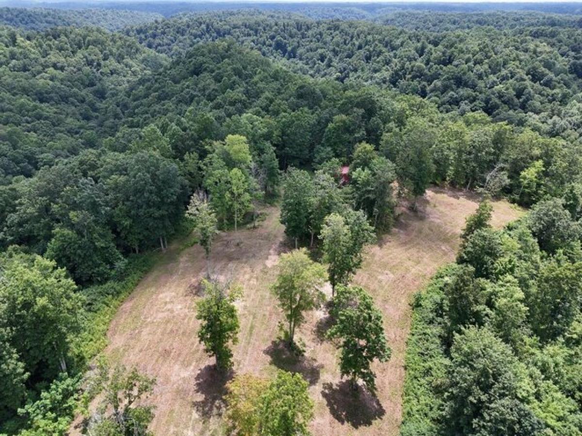 Picture of Residential Land For Sale in Red Boiling Springs, Tennessee, United States