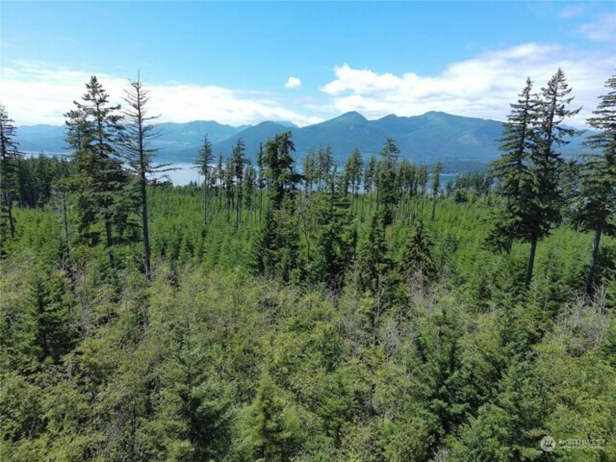 Picture of Residential Land For Sale in Quilcene, Washington, United States