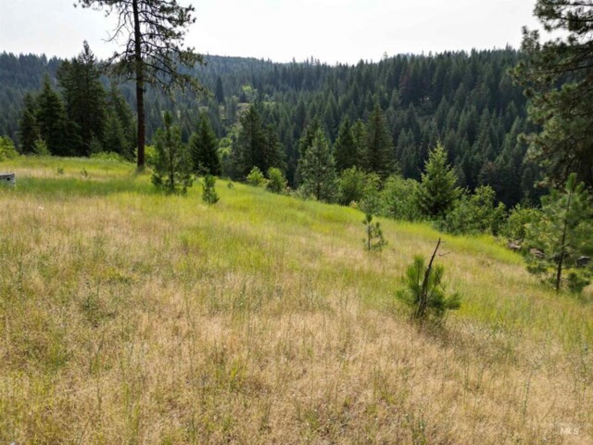 Picture of Residential Land For Sale in Orofino, Idaho, United States