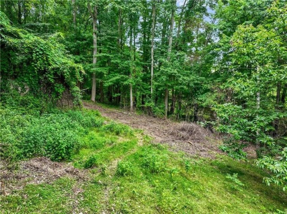 Picture of Residential Land For Sale in Beaver Falls, Pennsylvania, United States