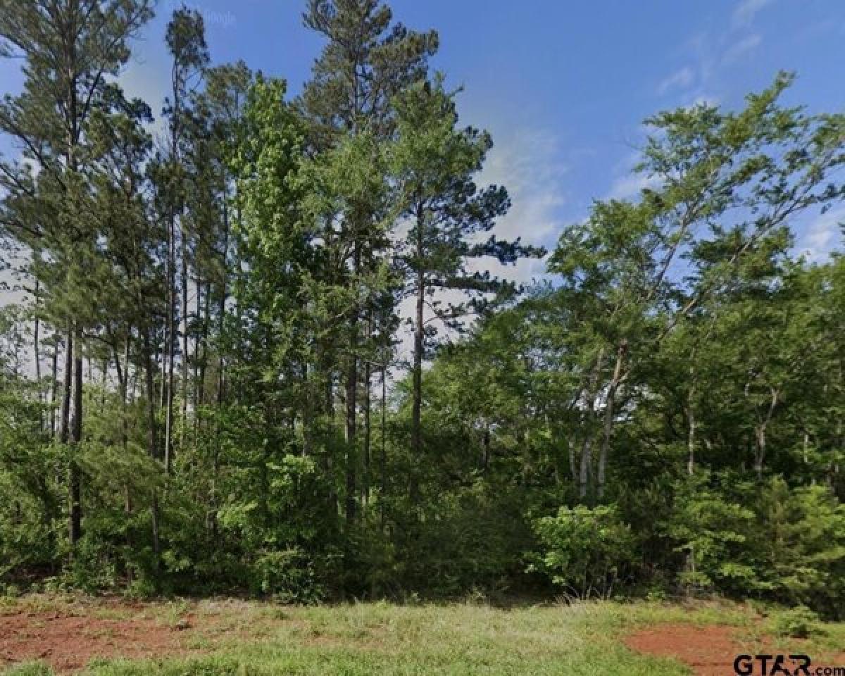 Picture of Residential Land For Sale in Whitehouse, Texas, United States