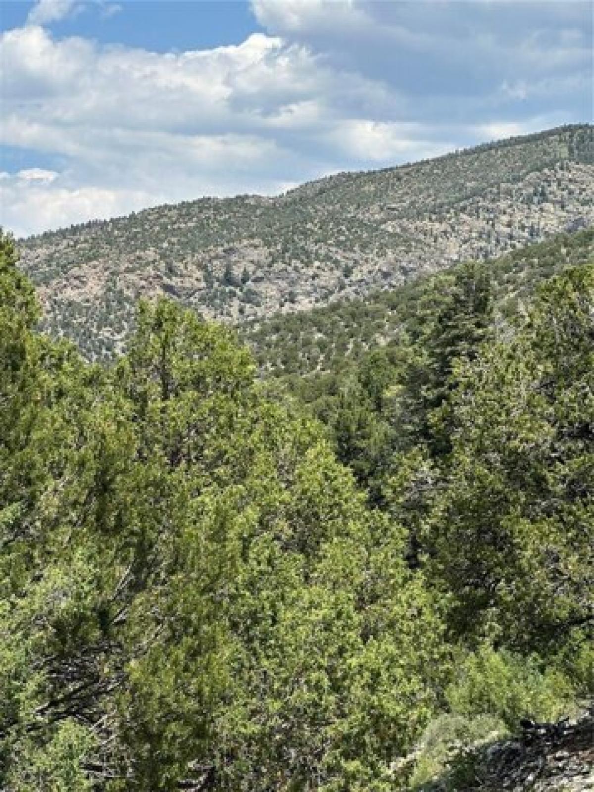 Picture of Residential Land For Sale in Mosca, Colorado, United States