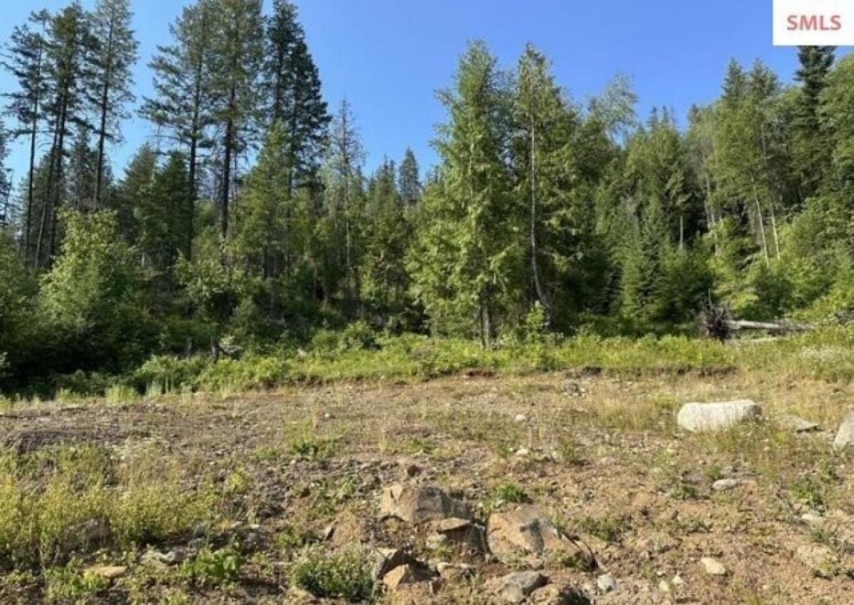 Picture of Residential Land For Sale in Cocolalla, Idaho, United States