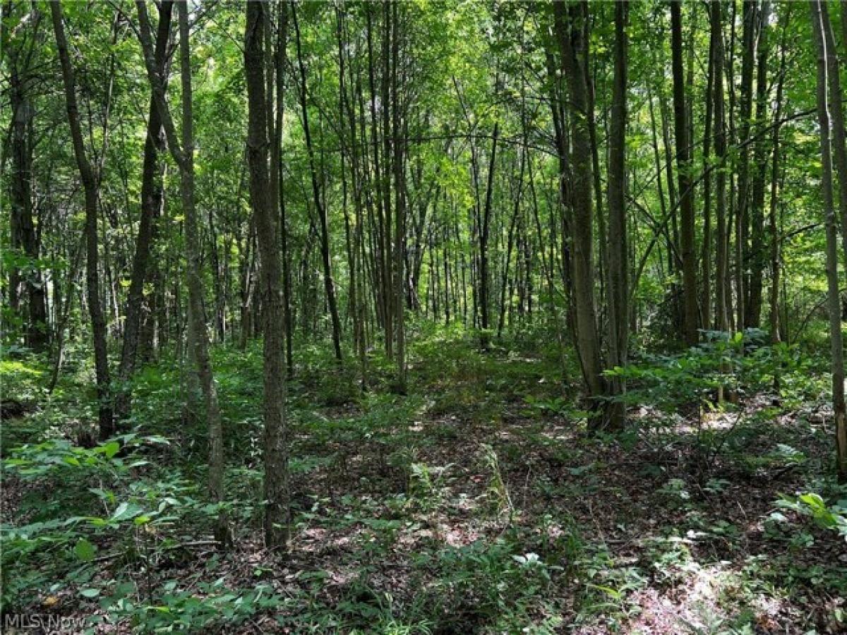 Picture of Home For Sale in Kinsman, Ohio, United States