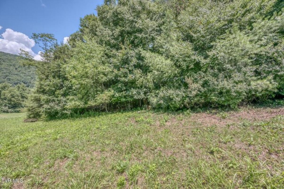 Picture of Residential Land For Sale in Butler, Tennessee, United States