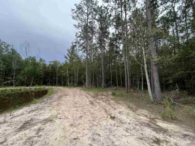 Residential Land For Sale in Buna, Texas