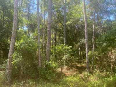 Residential Land For Sale in Fort Mccoy, Florida