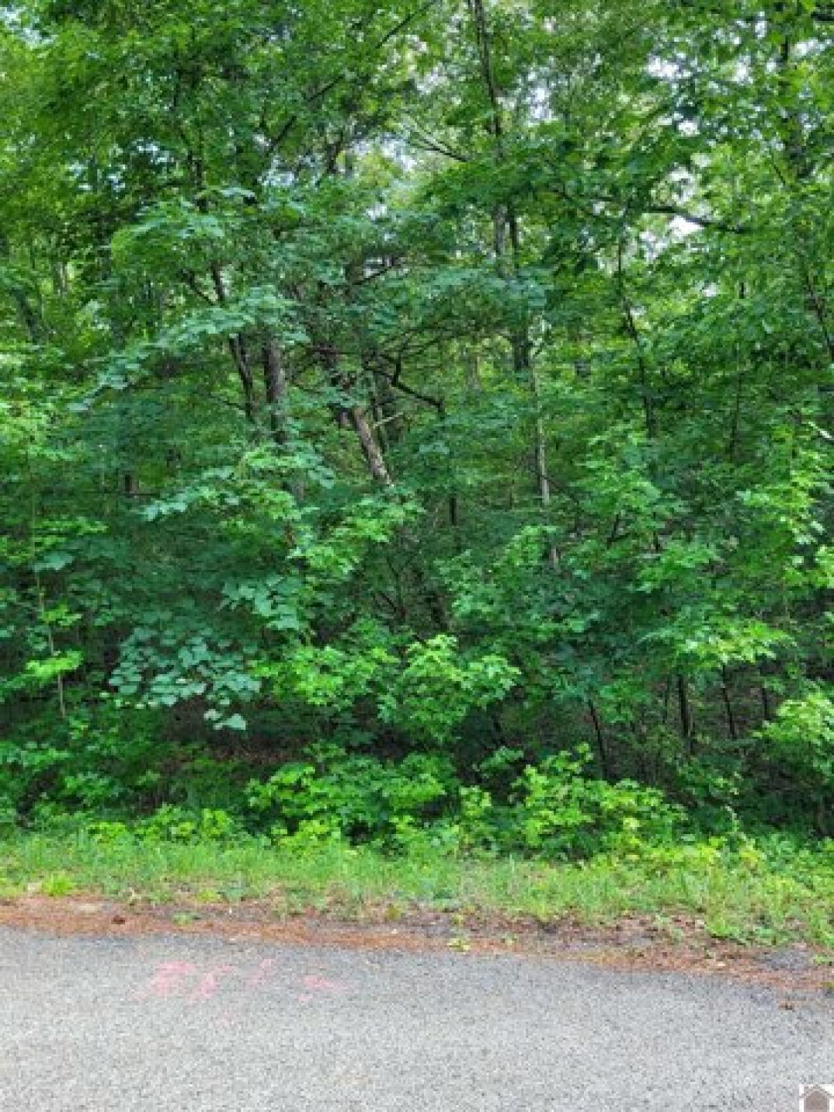 Picture of Residential Land For Rent in Murray, Kentucky, United States