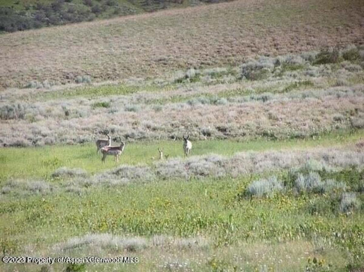 Picture of Residential Land For Sale in Craig, Colorado, United States