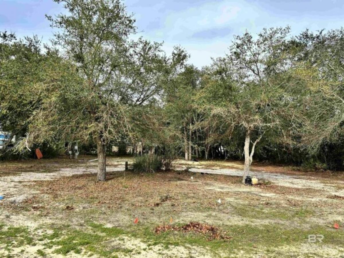 Picture of Residential Land For Sale in Orange Beach, Alabama, United States