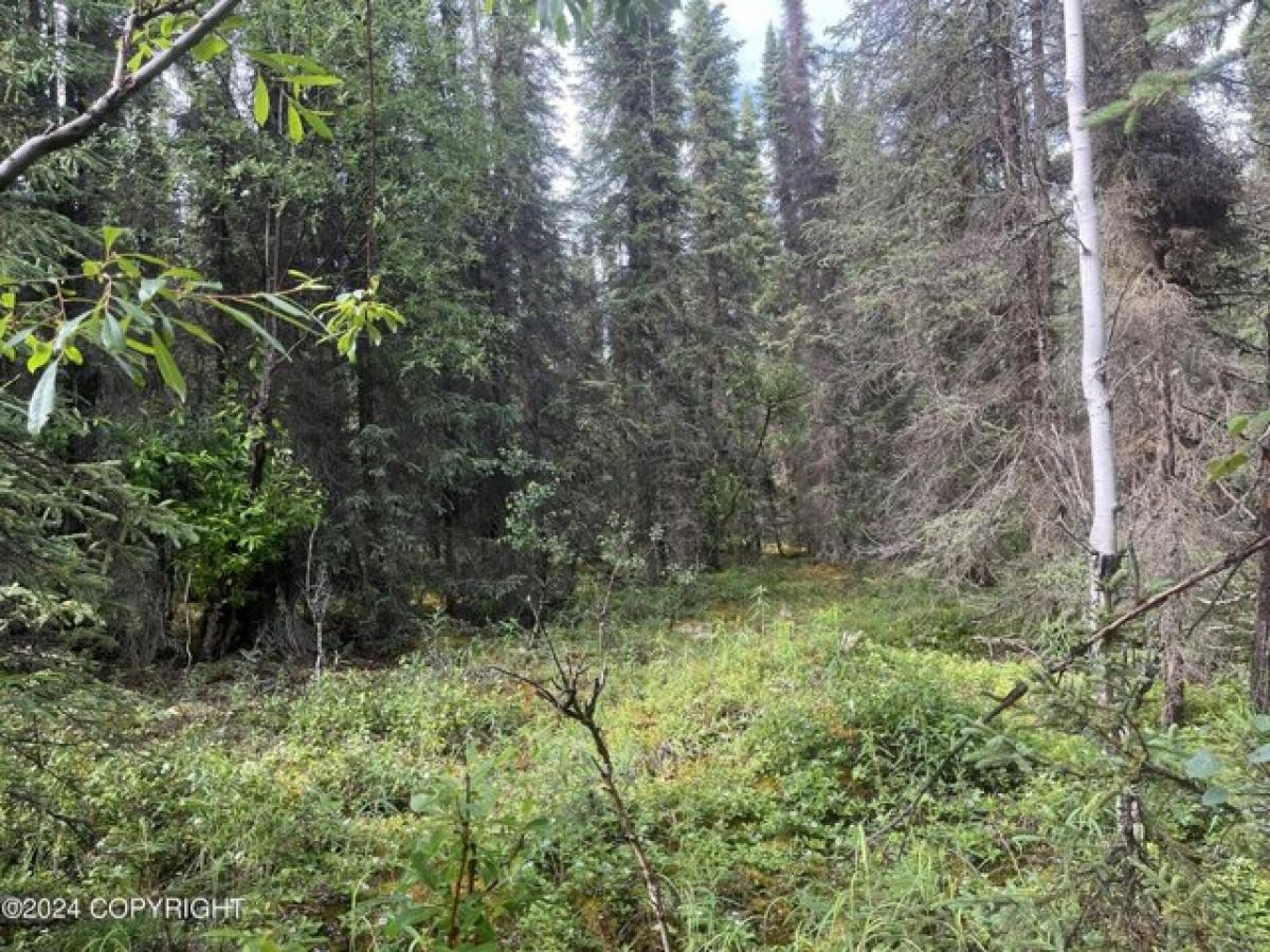 Picture of Residential Land For Sale in Soldotna, Alaska, United States