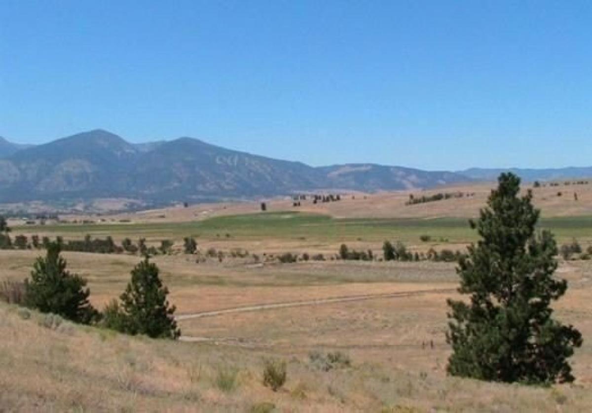 Picture of Residential Land For Sale in Florence, Montana, United States