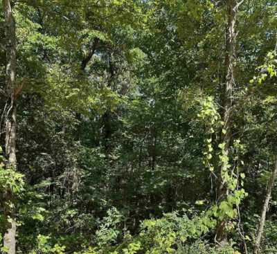 Residential Land For Sale in Locust Grove, Arkansas