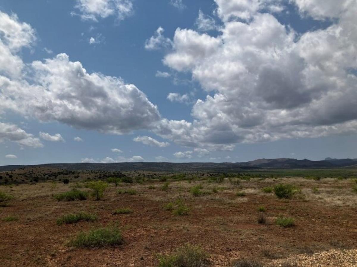 Picture of Residential Land For Sale in Alpine, Texas, United States