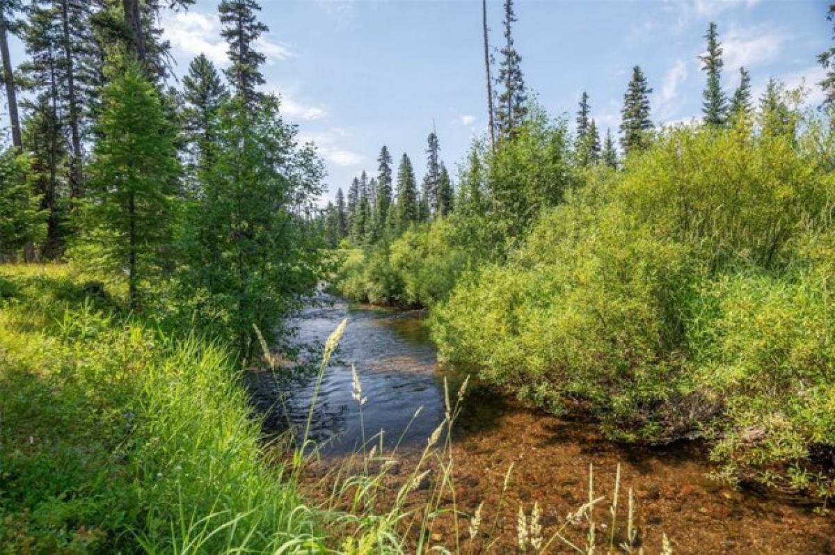 Picture of Residential Land For Sale in Seeley Lake, Montana, United States