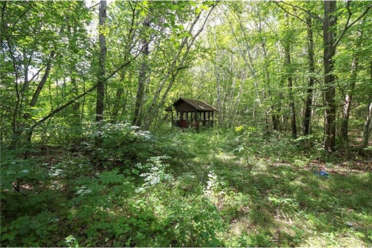 Picture of Residential Land For Sale in North Branch, Minnesota, United States