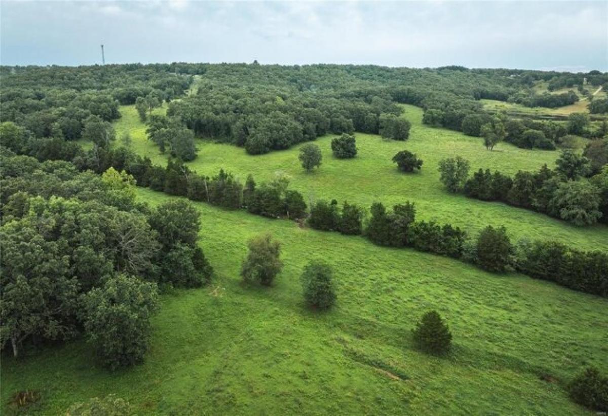 Picture of Residential Land For Sale in Dixon, Missouri, United States