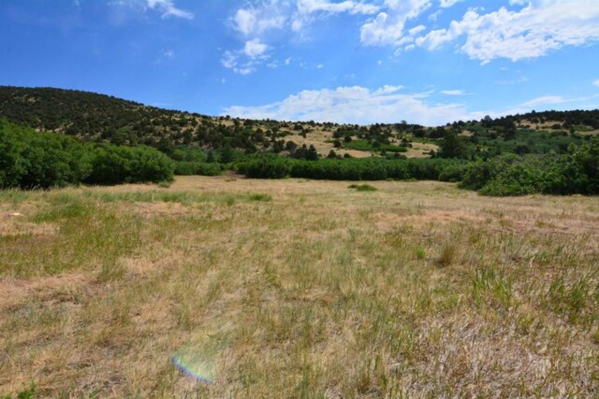 Picture of Residential Land For Sale in La Veta, Colorado, United States