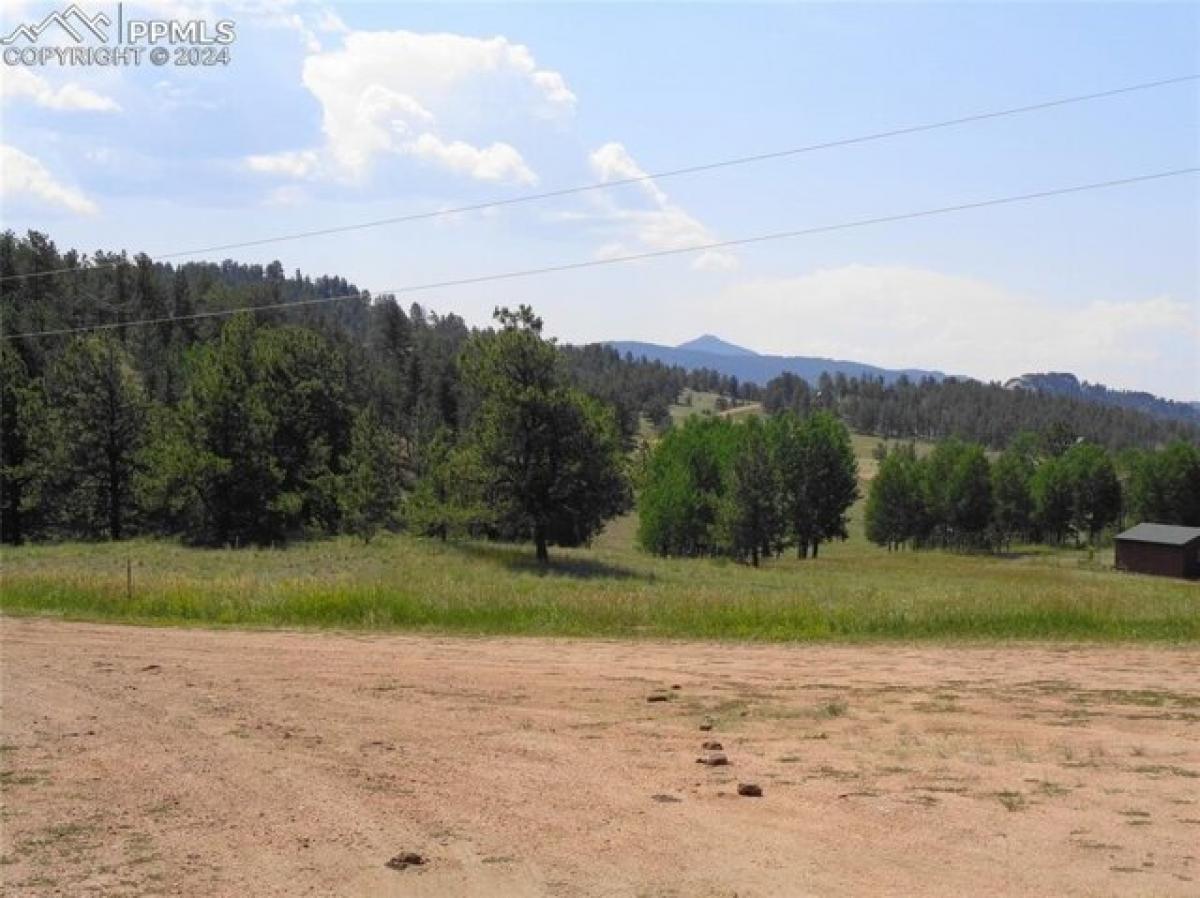 Picture of Home For Sale in Florissant, Colorado, United States