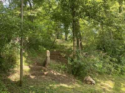 Residential Land For Sale in Burkesville, Kentucky