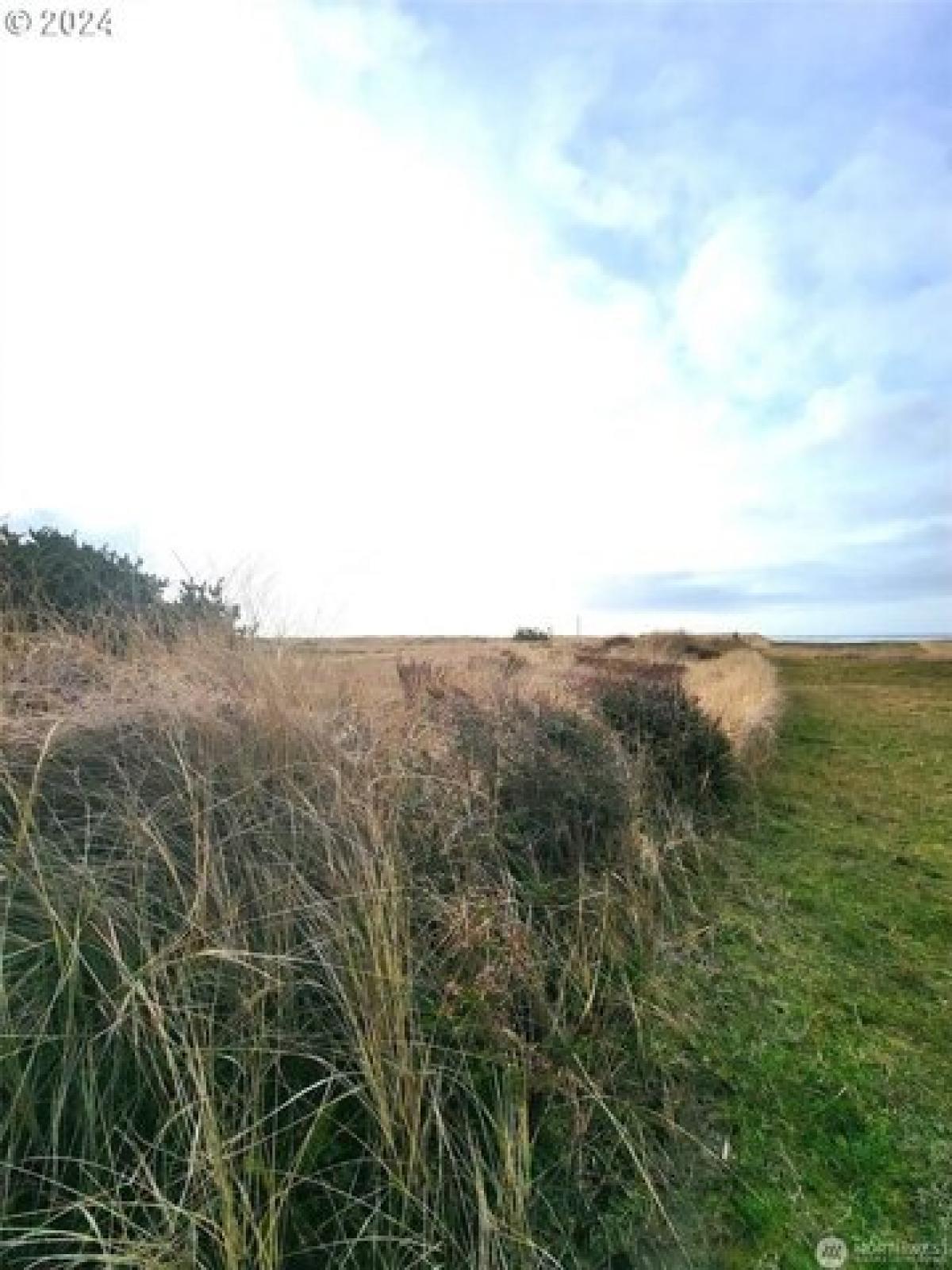 Picture of Residential Land For Sale in Ocean Park, Washington, United States