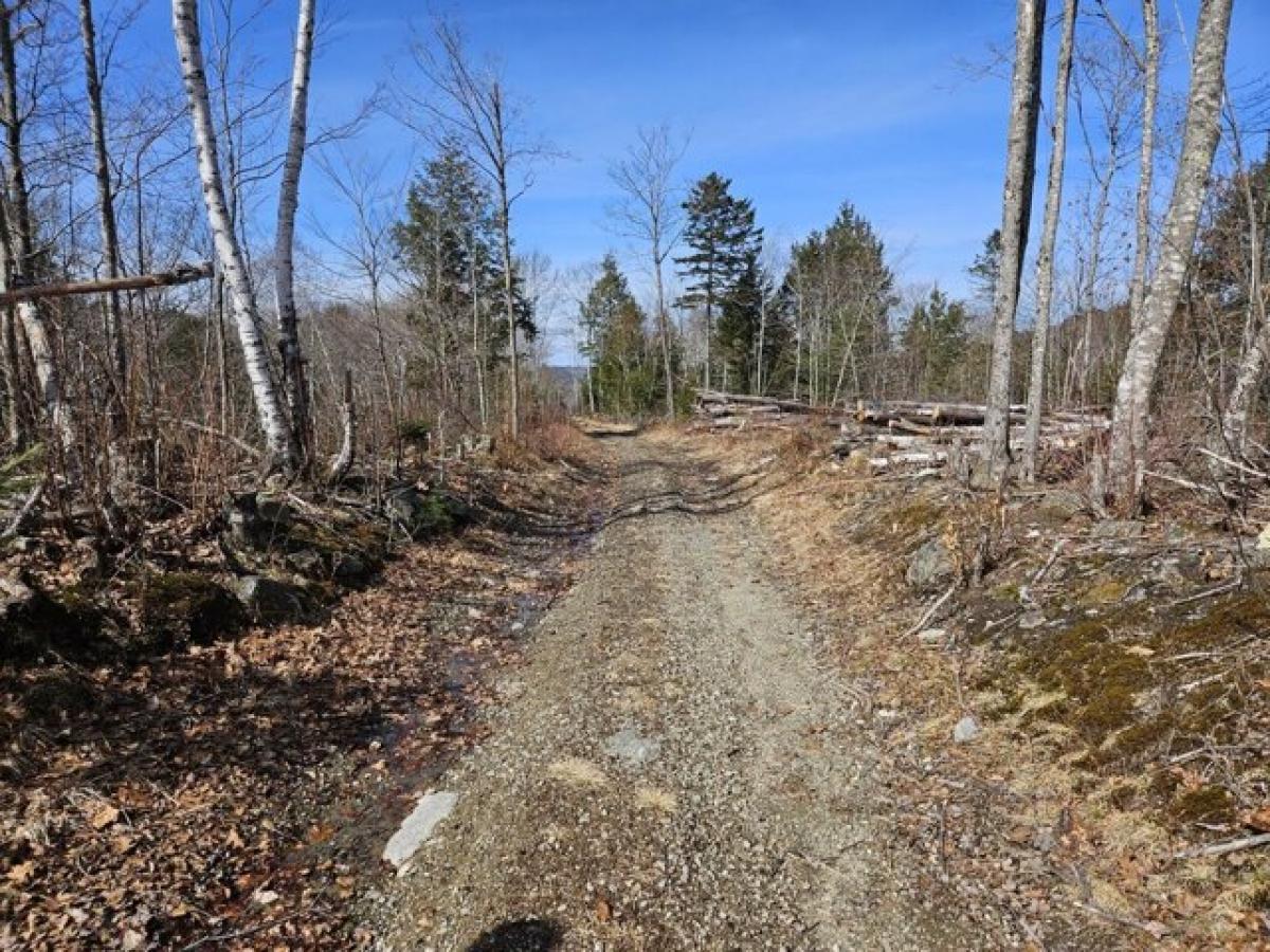 Picture of Residential Land For Sale in Washington, Maine, United States