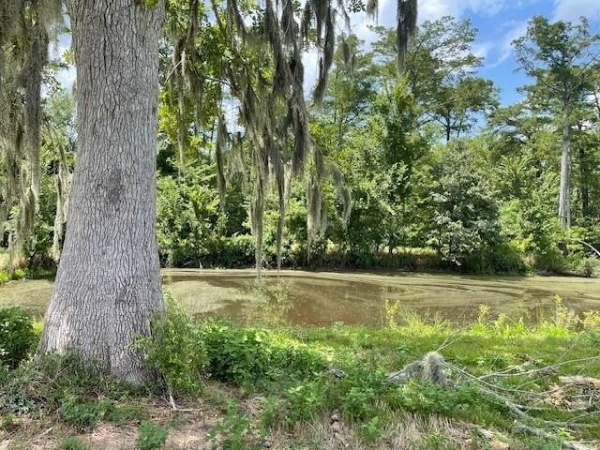 Picture of Residential Land For Sale in Woodworth, Louisiana, United States