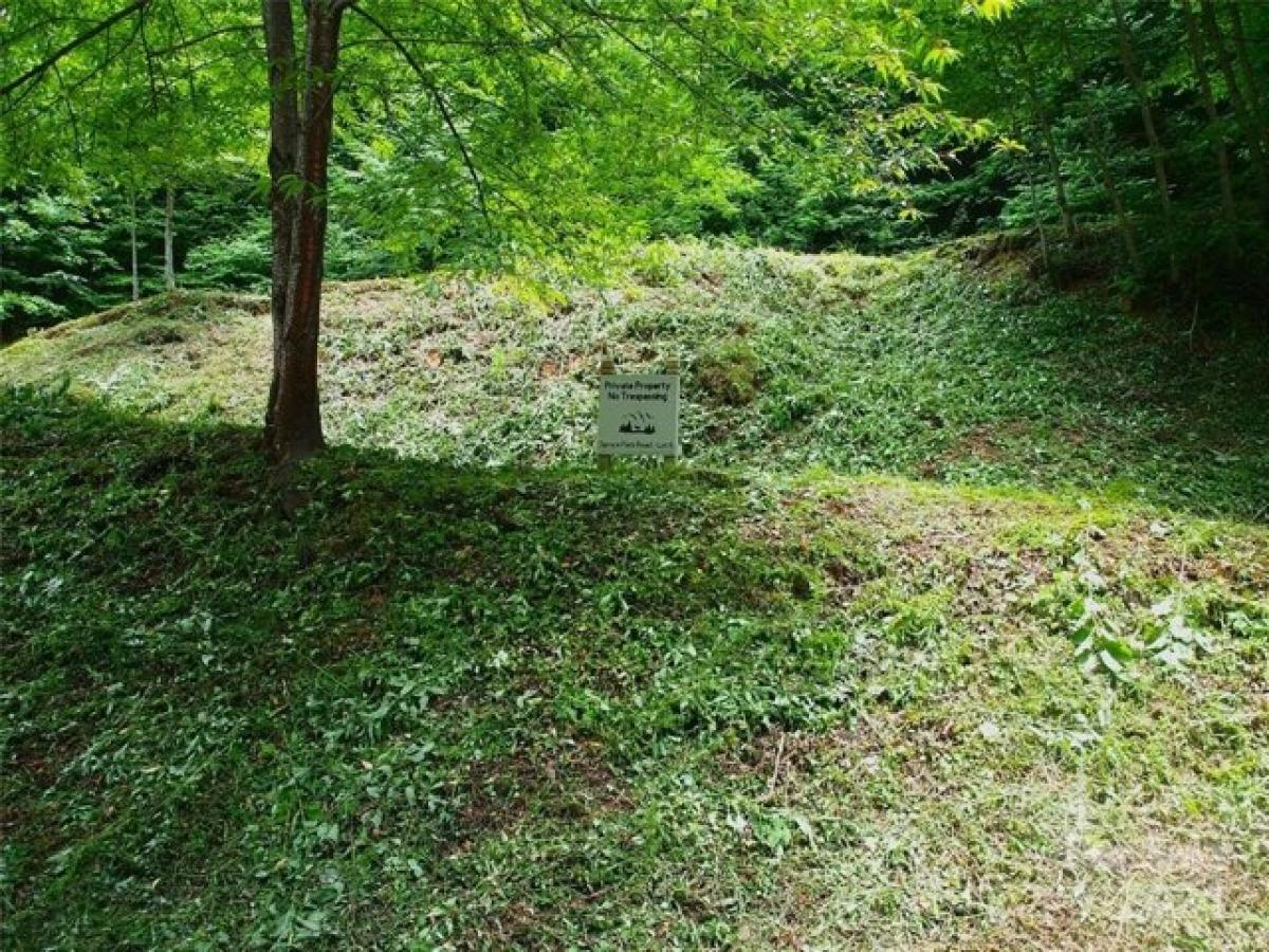 Picture of Residential Land For Sale in Maggie Valley, North Carolina, United States