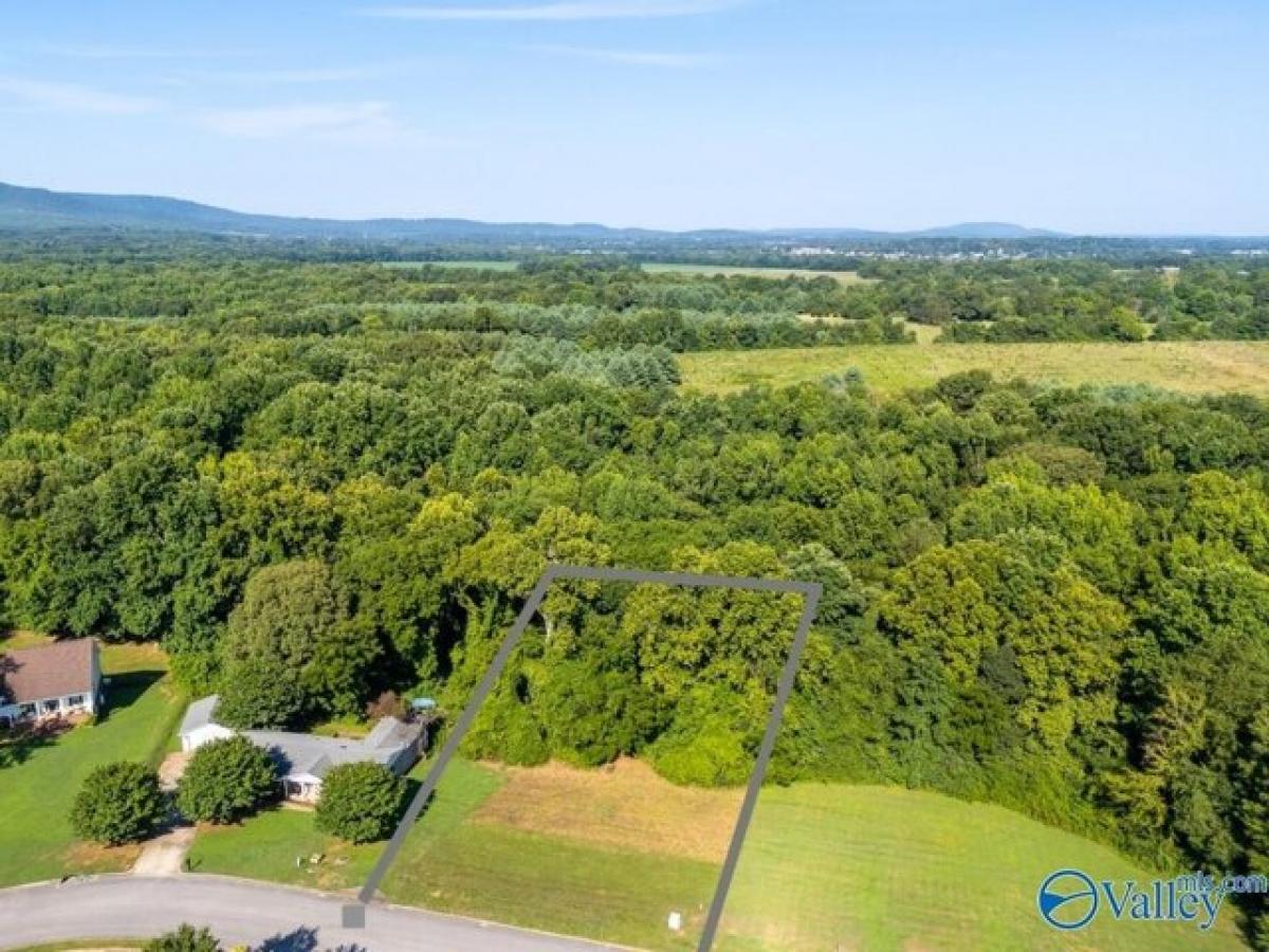 Picture of Residential Land For Sale in Huntsville, Alabama, United States