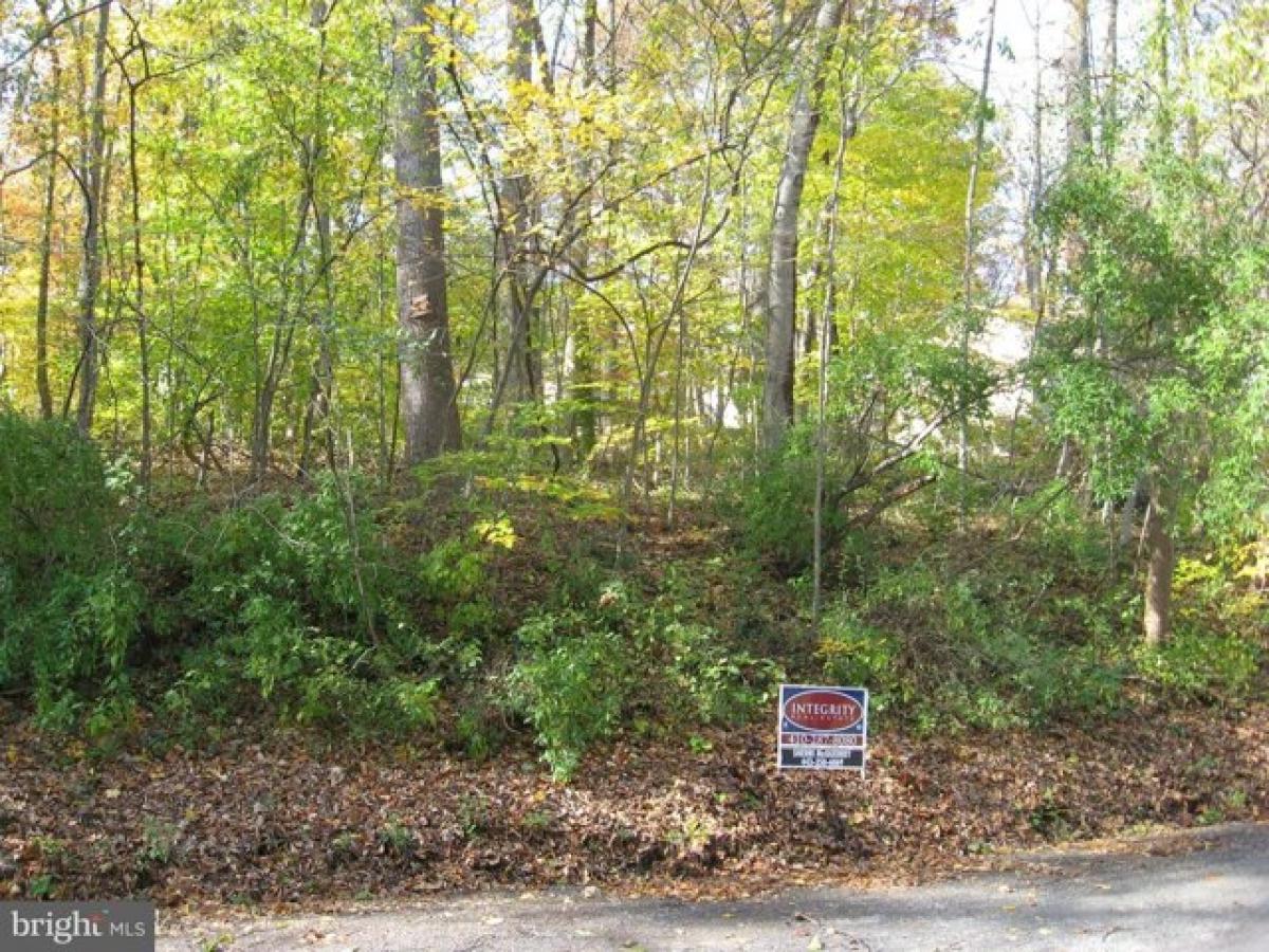 Picture of Residential Land For Sale in Rising Sun, Maryland, United States