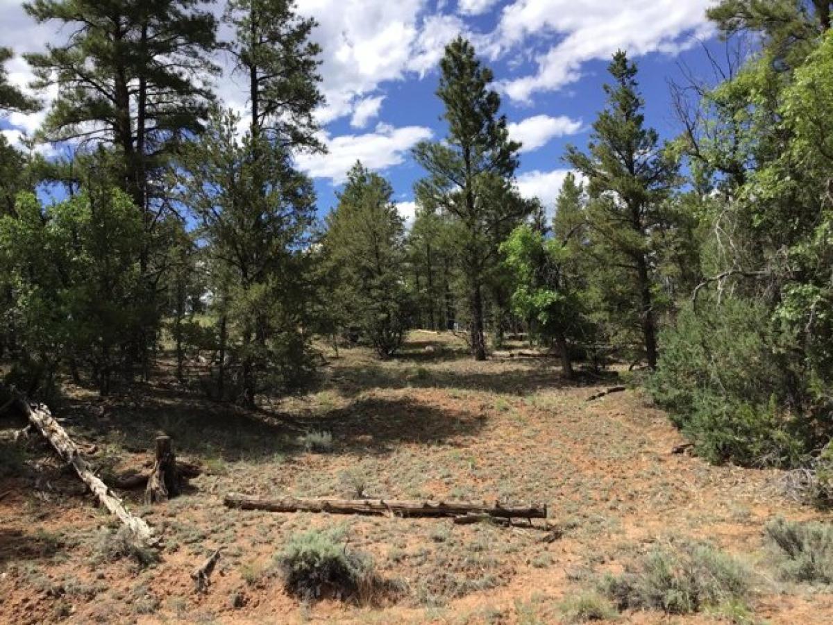 Picture of Residential Land For Sale in Ramah, New Mexico, United States