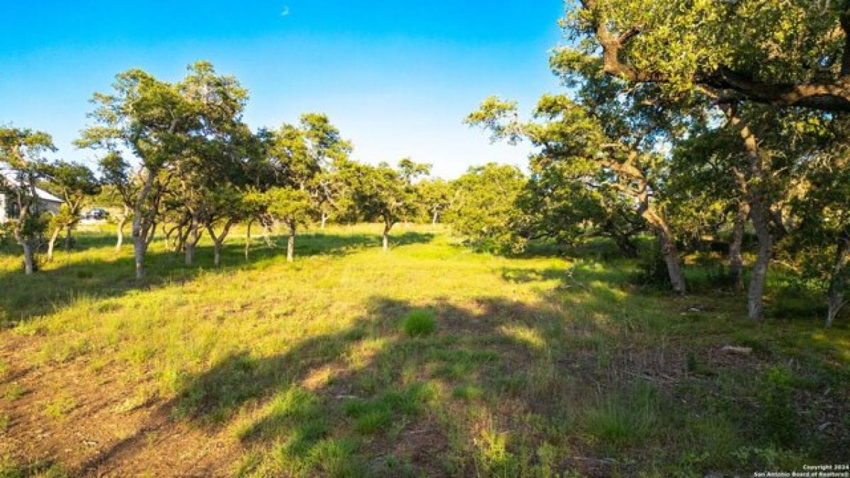 Picture of Residential Land For Sale in Bulverde, Texas, United States