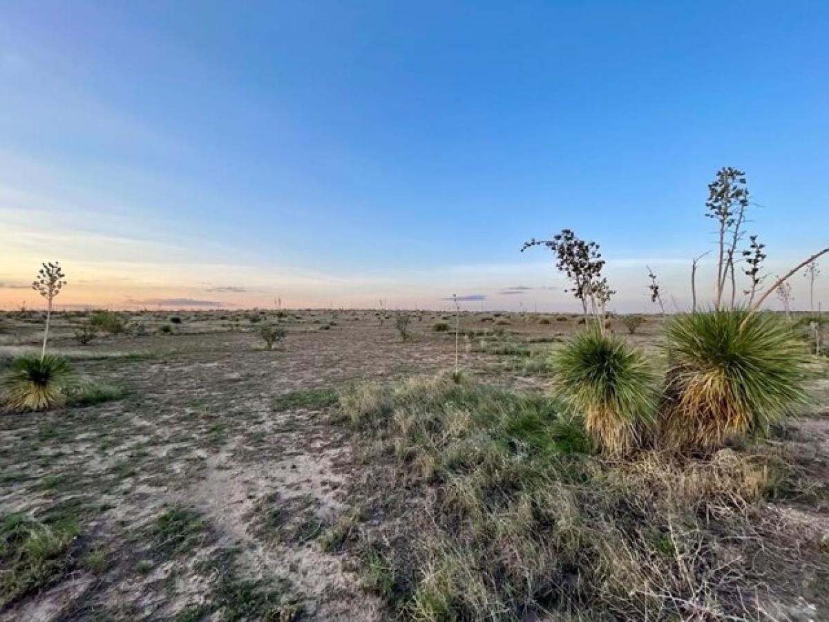 Picture of Residential Land For Sale in Marfa, Texas, United States