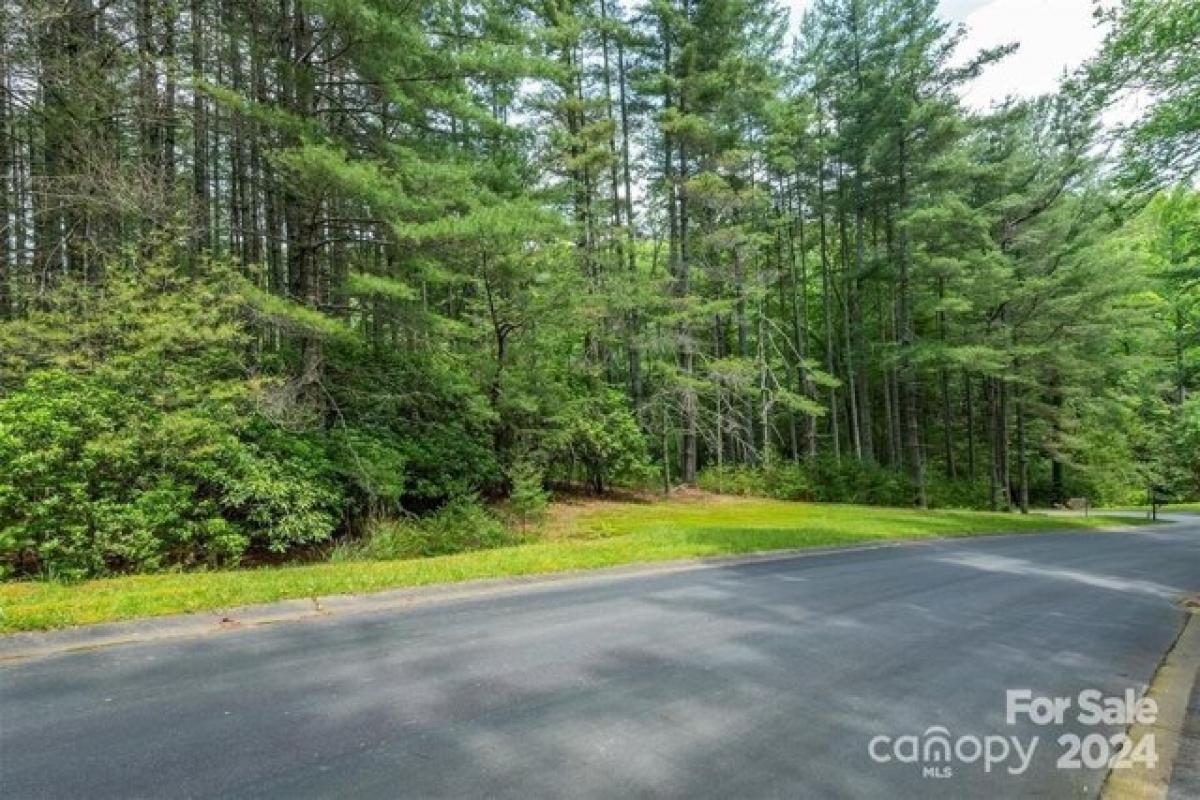 Picture of Home For Sale in Horse Shoe, North Carolina, United States