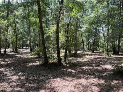 Residential Land For Sale in Darien, Georgia