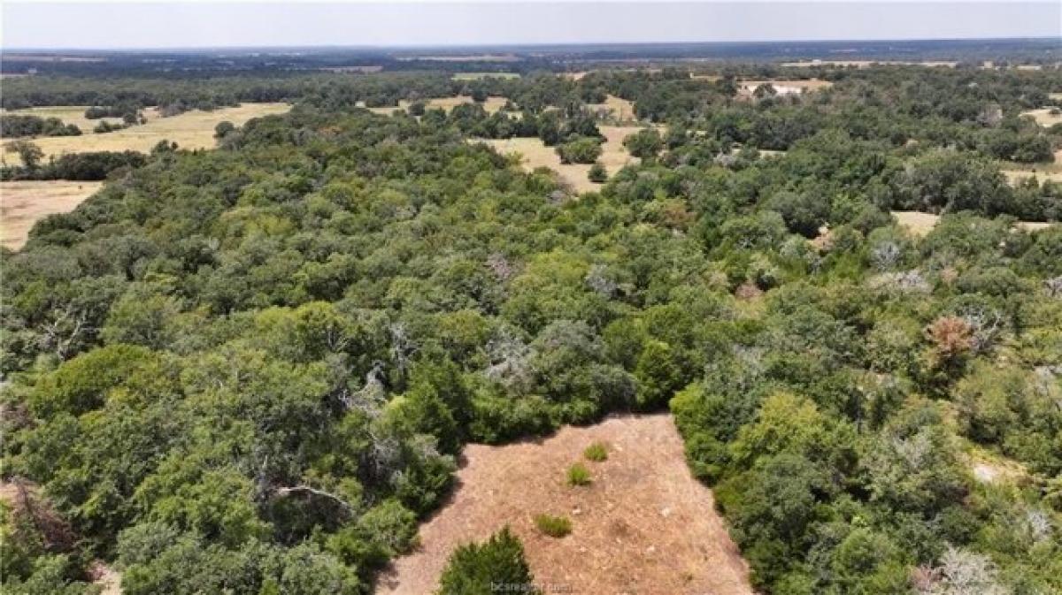 Picture of Residential Land For Sale in Franklin, Texas, United States