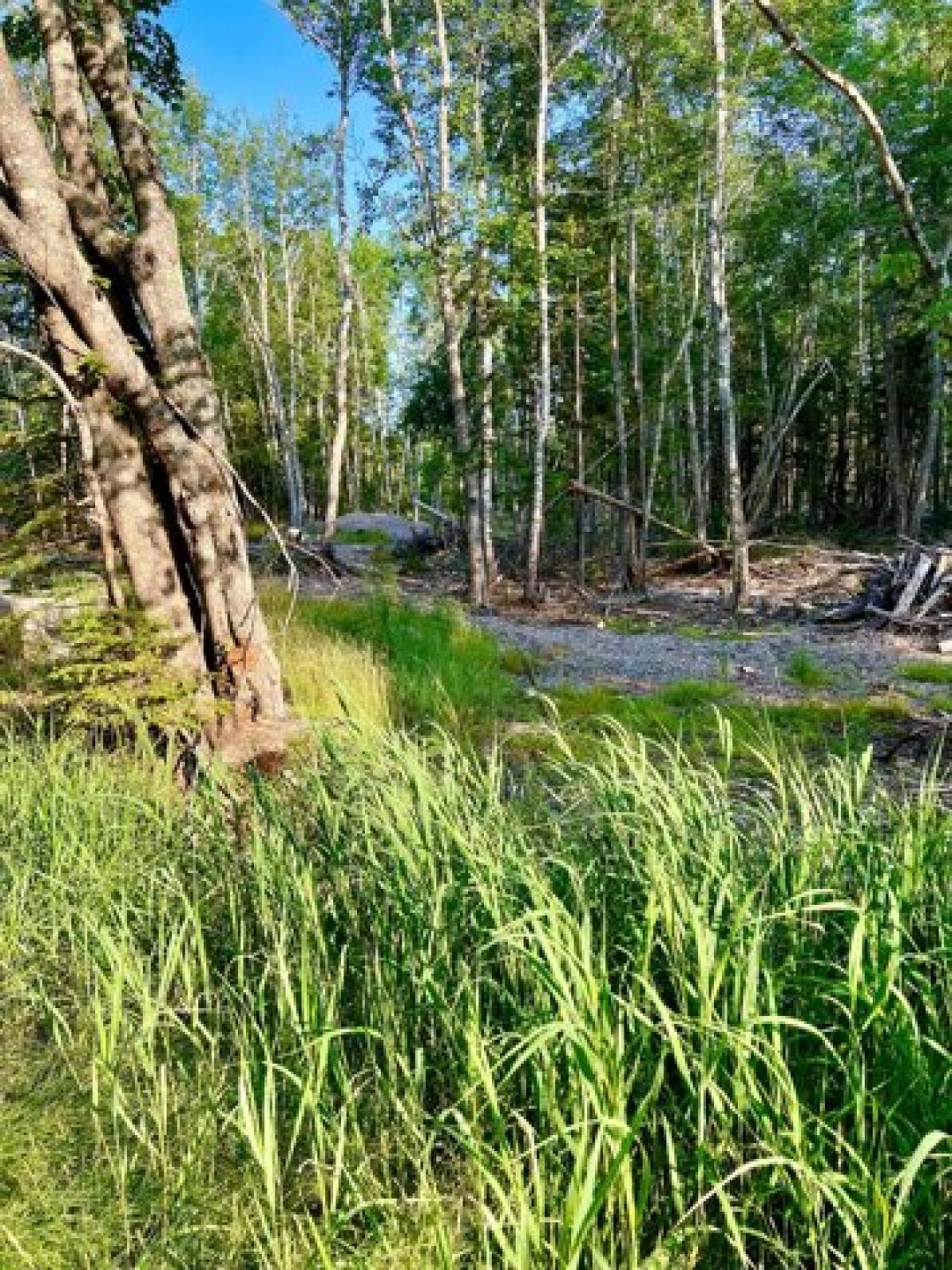 Picture of Residential Land For Sale in Southwest Harbor, Maine, United States