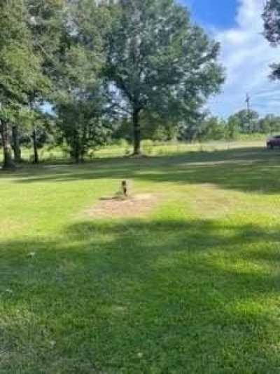 Residential Land For Sale in Springfield, Louisiana